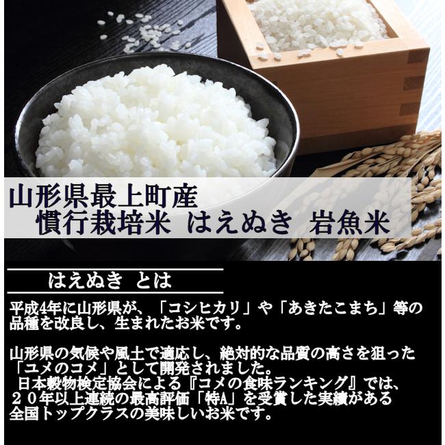 慣行栽培米はえぬき岩魚米 （令和7年産）白米 10kg | はえぬき | 01