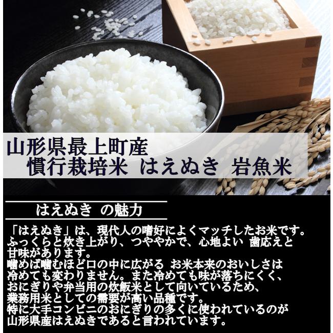 慣行栽培米はえぬき岩魚米 （令和7年産）白米 10kg | はえぬき | 02