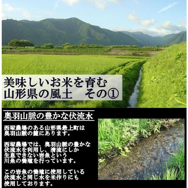 慣行栽培米はえぬき岩魚米 （令和7年産）白米 10kg | はえぬき | 03