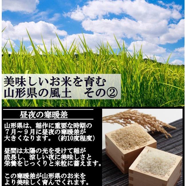 慣行栽培米はえぬき岩魚米 （令和7年産）白米 10kg | はえぬき | 04