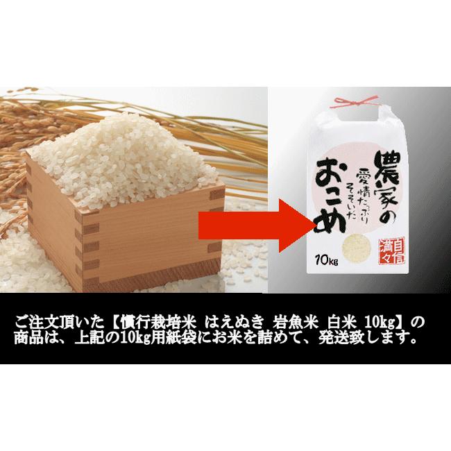 慣行栽培米はえぬき岩魚米 （令和7年産）白米 10kg | はえぬき | 07