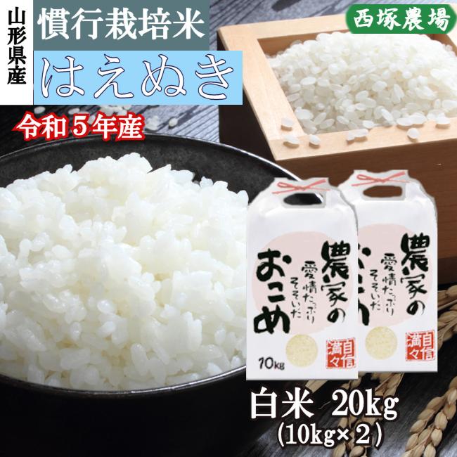 【送料無料】慣行栽培米はえぬき岩魚米 （令和3年産）白米 20kg｜nishiduka-farm｜01