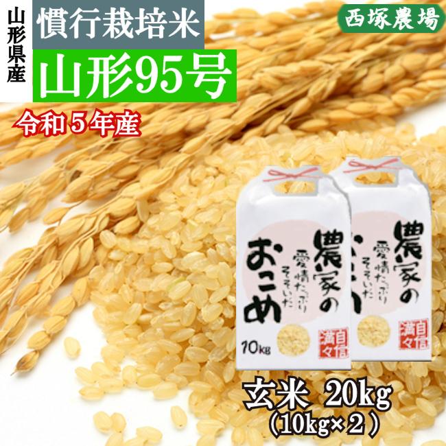 慣行栽培米 山形95号 岩魚米 （令和7年産）玄米 20kg : 株式会社西塚