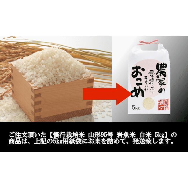 慣行栽培米 山形95号　岩魚米 （令和3年産）白米 5kg｜nishiduka-farm｜08