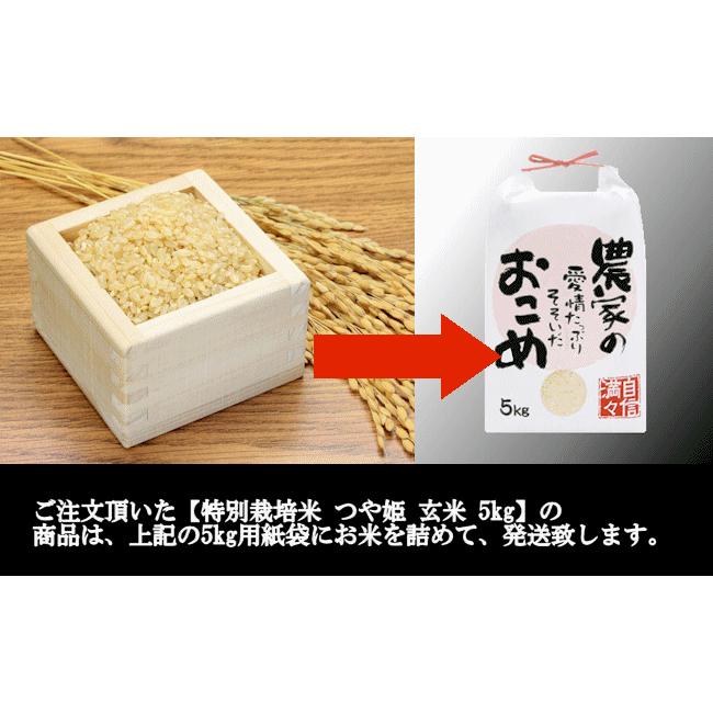 【送料無料】新米 特別栽培米つや姫 （令和7年産）玄米 5kg | つや姫 | 08