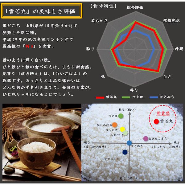 雪若丸 （令和7年産）玄米 20kg_1