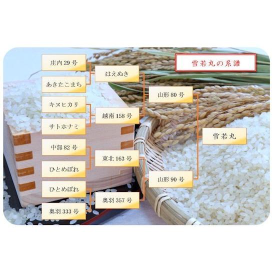 雪若丸 （令和7年産）玄米 20kg_4