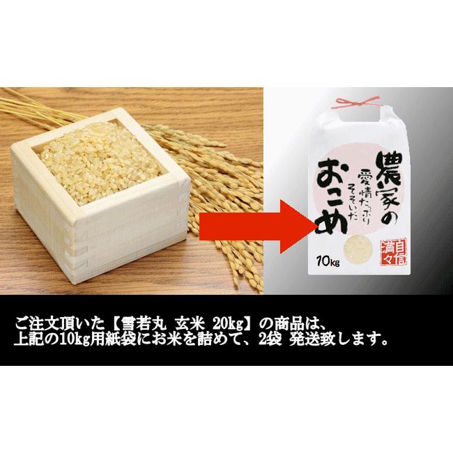 雪若丸 （令和7年産）玄米 20kg_8