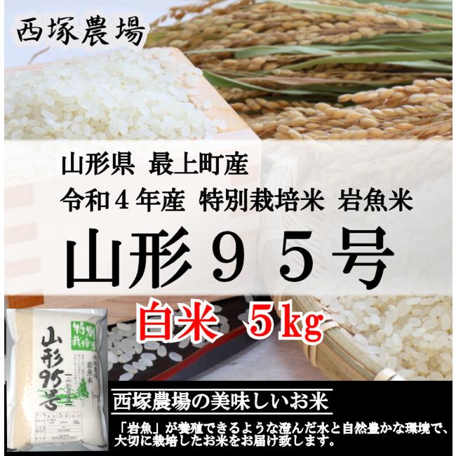 特別栽培米 山形95号　岩魚米 （令和3年産）白米 5kg｜nishiduka-farm