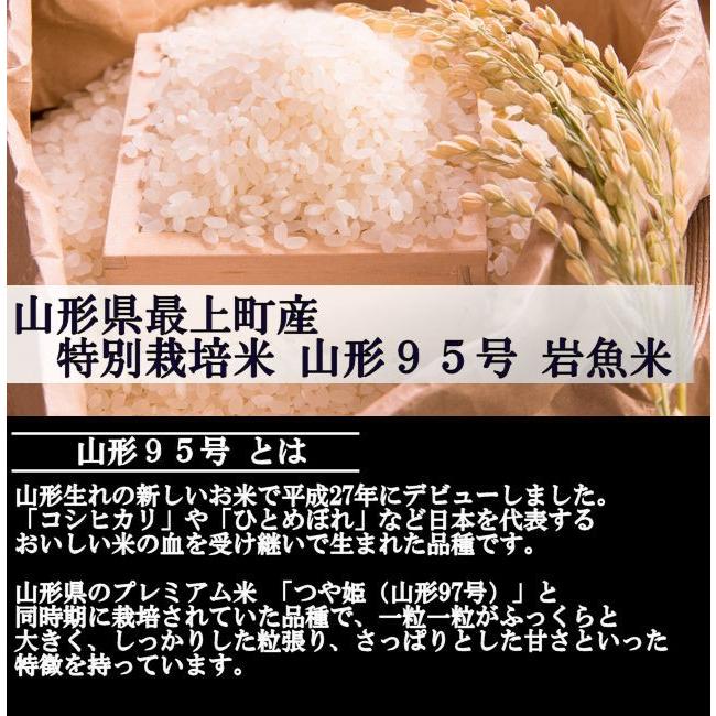 特別栽培米 山形95号　岩魚米 （令和3年産）白米 5kg｜nishiduka-farm｜02