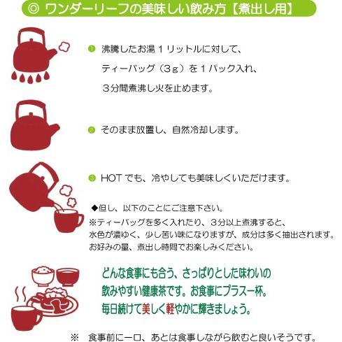 ワンダーリーフ 美軽茶 みがるちゃ 煮出し用 お得 クリックポスト