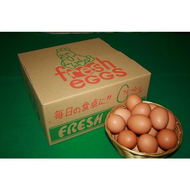 とれたて新鮮平飼い自然卵50個入り :2299:西井オーガニックファーム - 通販 - Yahoo!ショッピング とれたて新鮮平飼い自然卵50個入り :2299:西井オーガニックファーム - 通販 - Yahoo!ショッピング
