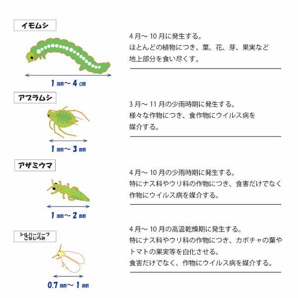 防虫ネット 0 4 Mm 目 180cm 5ｍ 園芸 農業 家庭菜園 網 メッシュ 虫よけ 野菜用 ガーデニング 園芸資材 Pp4057 2 Nishikawa 通販 Yahoo ショッピング