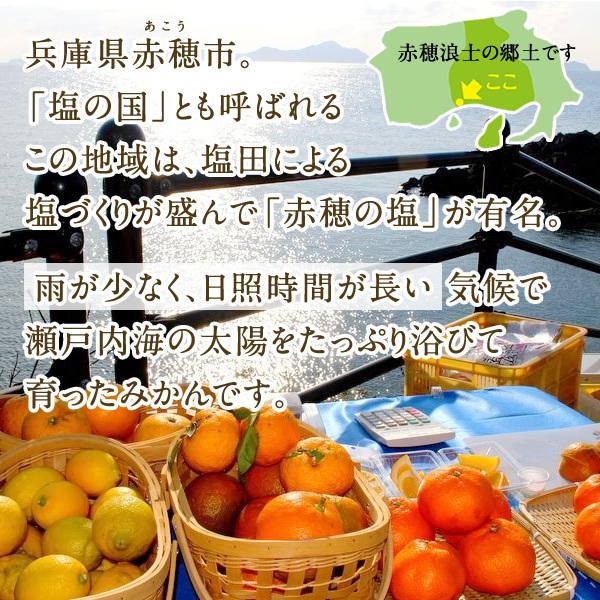 みかん 2kg (S/M/Lサイズ:早生) 甘味と酸味が調和したみかん (出荷:11