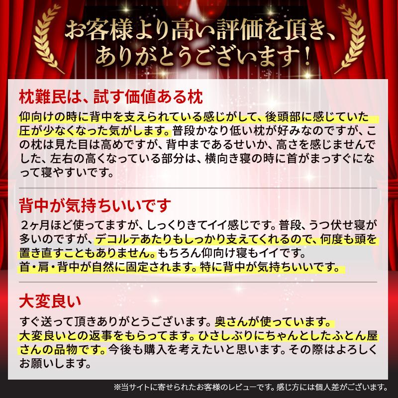 ギガ枕EX 枕 まくら西川 昭和西川 直営 GI-10000 快眠 GIGA MAKURA 高さ調整できる 大きいまくら ピロー マツコ  90×70×9.5cm ポイント10倍 父の日｜nishikawastore｜02