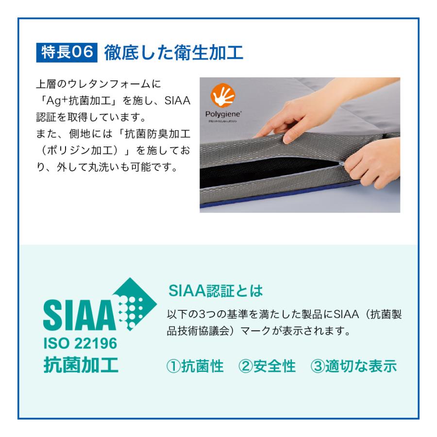 和歌山県 九度山産 種無し柿 家庭用 10kg 15~20発送予定