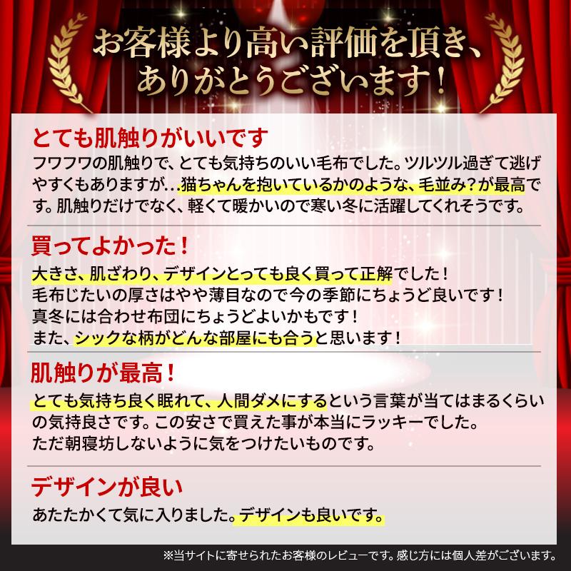 毛布 暖かい ダブル 2枚合わせ 昭和西川公式 西川 衿付き 厚手 マイヤー毛布 180×200cm 洗える ボリューム ウォッシャブル 冬用毛布 | 西川 | 03