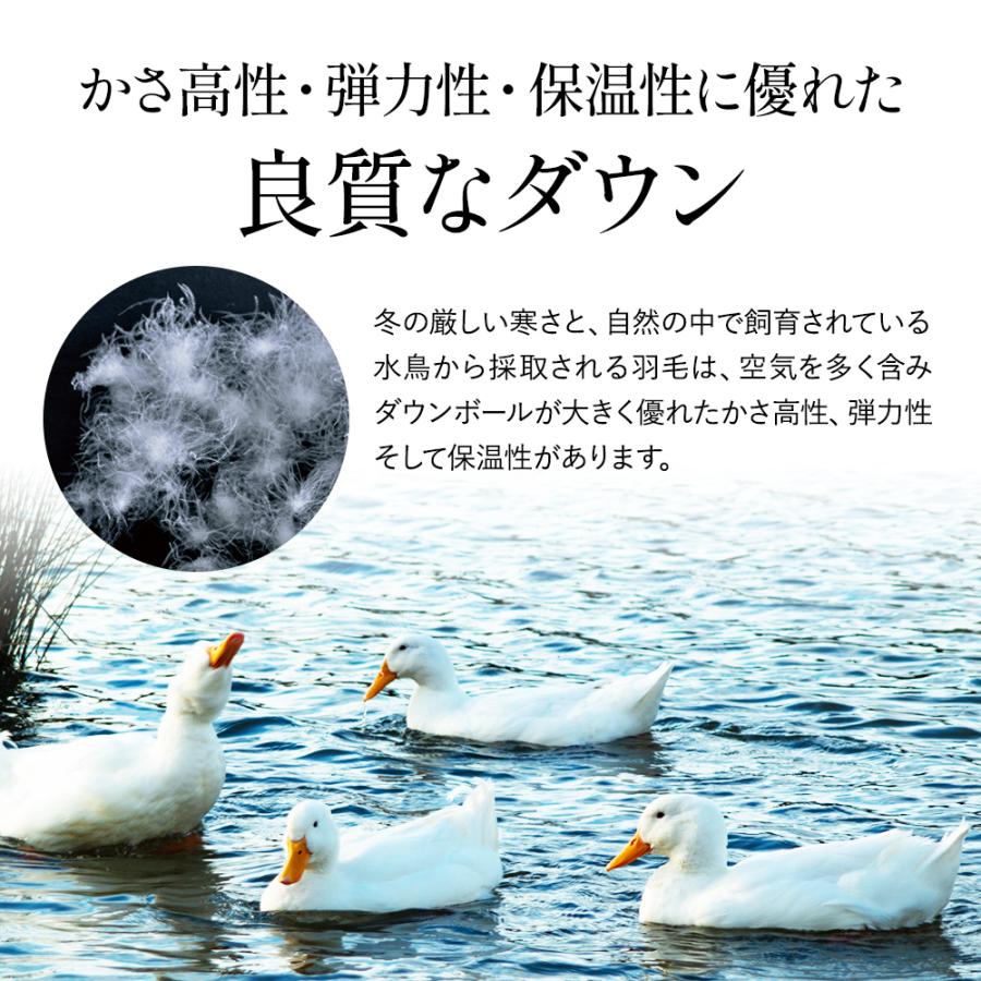 西川 羽毛布団 ダブル 昭和西川公式 ダックダウン85% 1.6kg 190 西川 羽毛布団 ダブル 昭和西川公式 ダックダウン85% 1.6kg 190