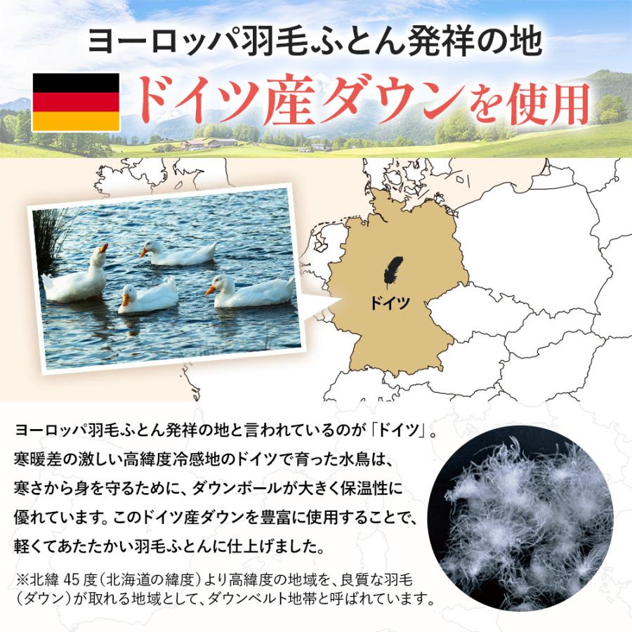 羽毛布団 シングル 西川 掛けふとん 昭和西川直営 日本製 羽毛ふとん ダック90％ ヨーロッパ羽毛 1.2kg EC919 150×210ｃｍ ピンク ブルー ランキング｜nishikawastore｜05