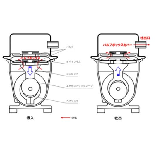 大晃 ダイアフラムブロワ DF-300(100V) 同梱不可 □☆ : 株式会社大谷 