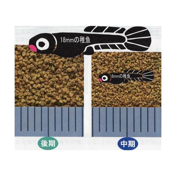 ▽キョーリン ひかりプランクトン 中期 2kg 2点目より300円引 ▽キョーリン ひかりプランクトン 中期 2kg 2点目より300円引