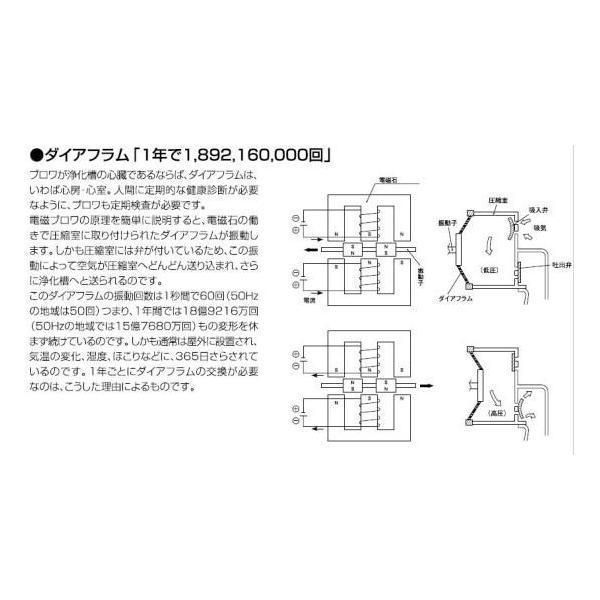 2セット　フジクリーン EcoMac T30メンテナンスセット 浄化槽 フジクリーン工業 T30 メンテナンスセット 2セット EcoMac250/300に