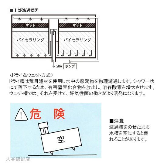 ☆ライフ FRP水槽 SF-1000本体＋濾過槽 フルセット 外部ポンプ式 大型