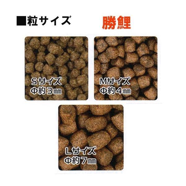 日清丸紅飼料 日清丸紅飼料ライズ3号 10kg (5kg×2袋) (粒径0.36 日清丸紅飼料 日清丸紅飼料ライズ3号 10kg (5kg×2袋) (粒径0.36