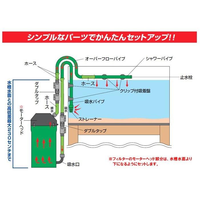 エーハイム クラシックフィルター 外部式フィルター 2217-NEW 50Hz(東日本用) 密閉式外部フィルター 2点目より400円引｜nishikigoiootani｜03