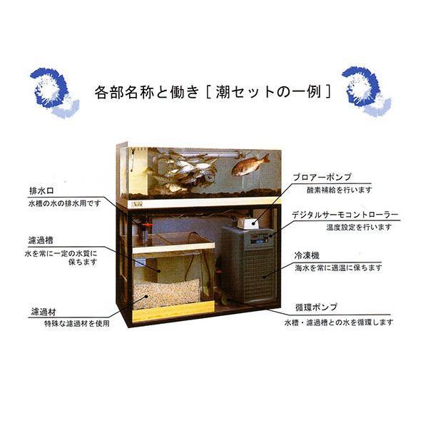 水活セット ☆ゼンスイ 活魚水槽 潮 1200ZS 水槽フルセット SUS架台・PVC