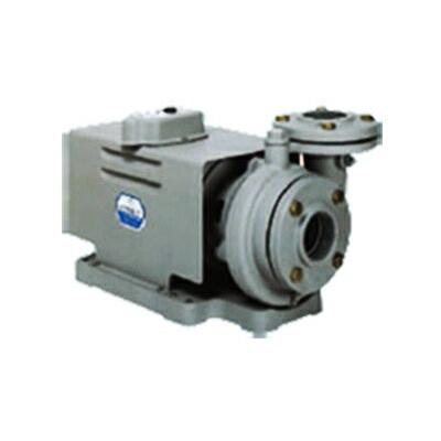 岩谷電機製作所 イワヤポンプ 25CT502 200W 3相200V 50Hz ☆岩谷電機製作所 イワヤポンプ 25CT502 鋳鉄製渦巻ポンプ 200W 3相