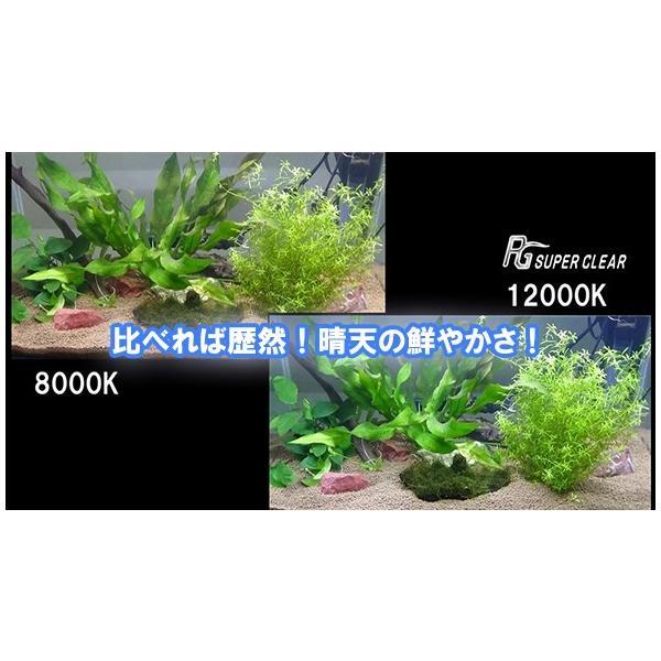 ▽ニッソー PGスーパークリアLED 900 □☆ : 株式会社大谷錦鯉店