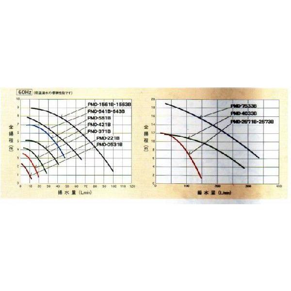 弊社在庫品 三相電機 マグネットポンプ PMD-221B2M 単相100V 50Hz/60Hz共通 ネジ接続型　送料無料 但、一部地域除｜nishikigoiootani｜03