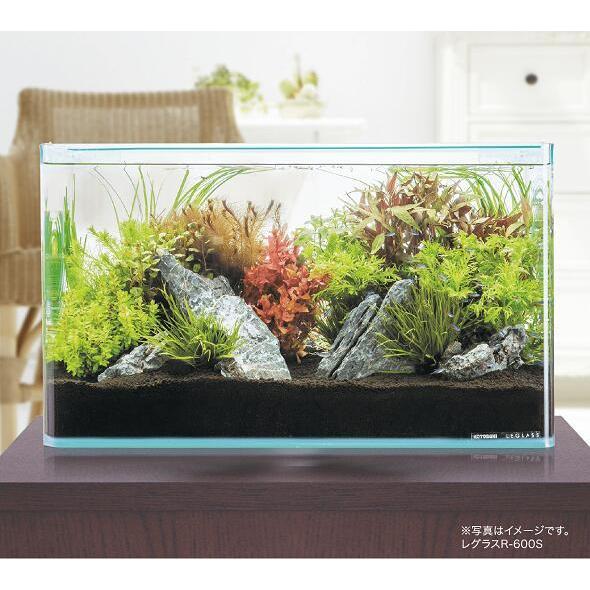 コトブキ レグラス R 600l フレームレス曲げガラス水槽 個人宅配送不可 Leglassr600l 株式会社大谷錦鯉店 通販 Yahoo ショッピング