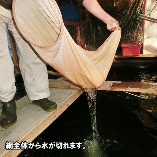 松田マルチネット(木柄) シート地白 径27 柄長30 網長110 細目 【送料無料 但、一部地域除】【同梱不可】|nishikigoiootani|02