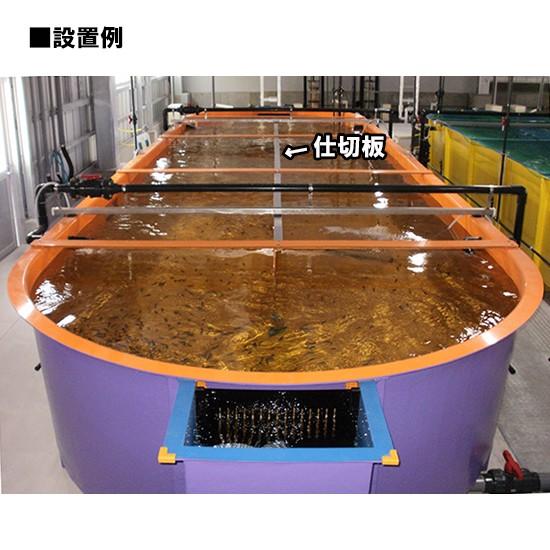 格安人気 カイスイマレン Rkr3017用仕切板 個人宅配送 同梱 送料別途見積 超人気の Zoetalentsolutions Com