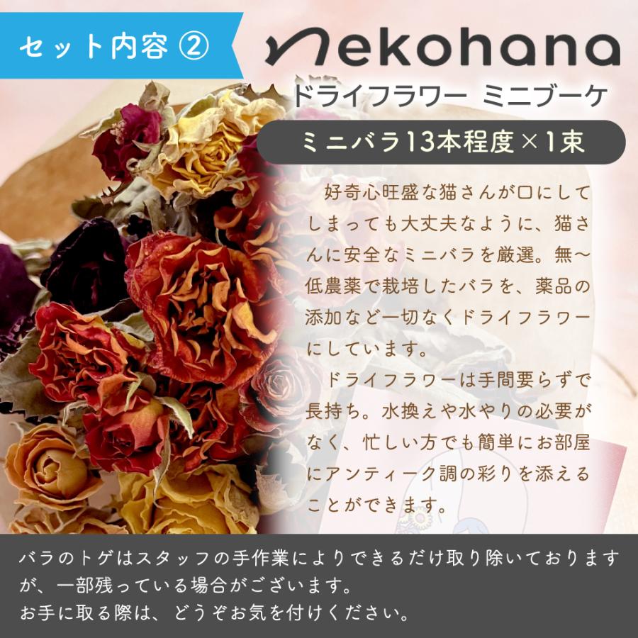 猫と暮らす方へのギフト にゃんもにゃにゃ オールインニャンクリーム(人間用基礎化粧品) と猫にも安心なドライフラワーブーケ 2026 お歳暮 |  | 03