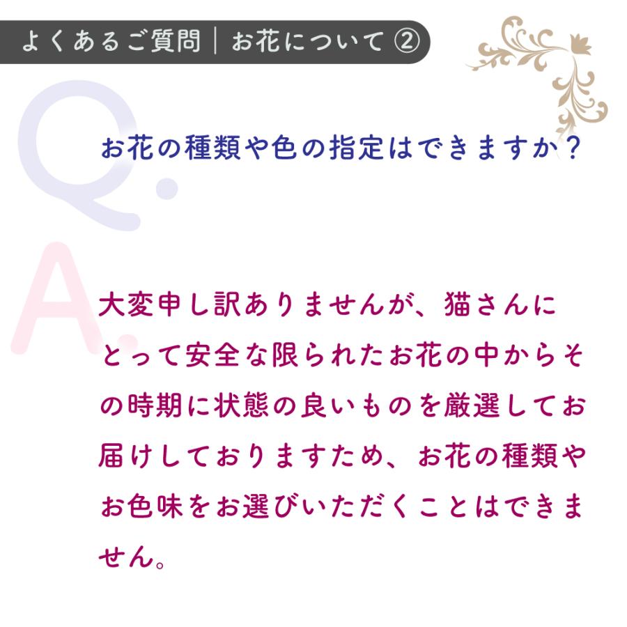猫と暮らす方へのギフト にゃんもにゃにゃ 猫のもなかの出雲ぜんざいと猫に安心なドライフラワーミニバラブーケ 2026 お歳暮 プレゼント |  | 06