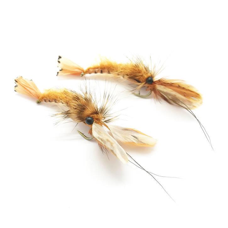 フライ リアルシュリンプ #6 2個セット (ゆうパケットOK) : にしきた