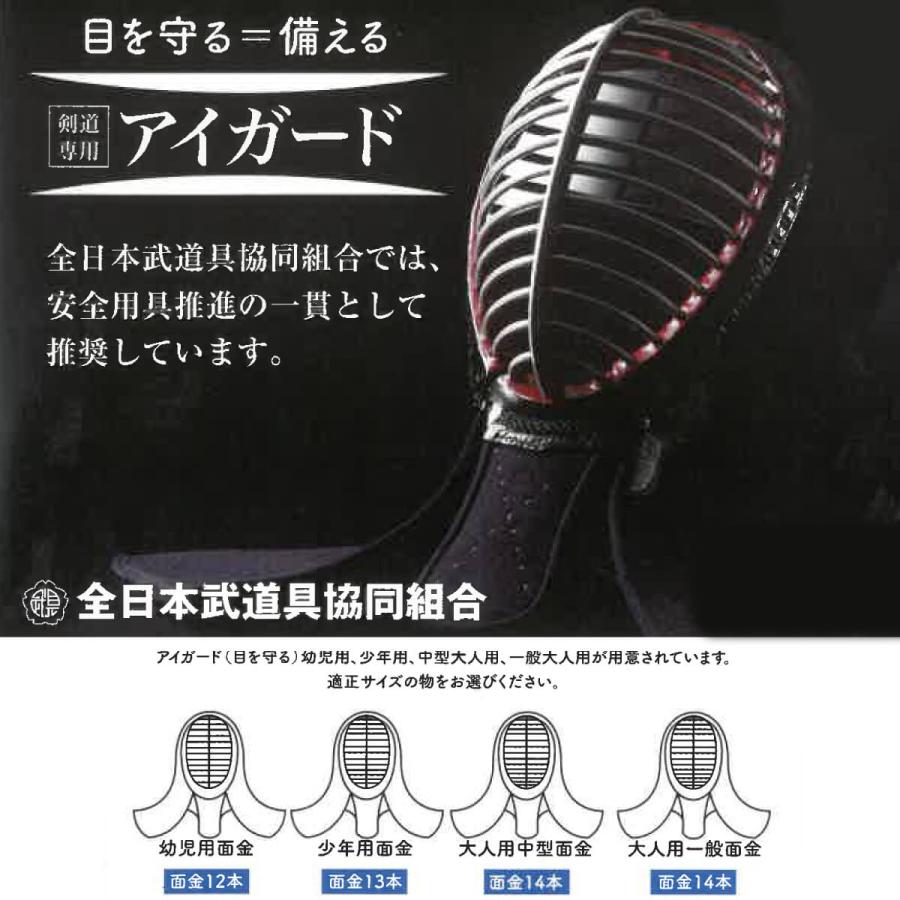 剣道 面用 インナーマスク 全剣連推奨用具 アイガード 飛沫対策 目を守る K Igd 西日本武道具yahoo ショッピング店 通販 Yahoo ショッピング
