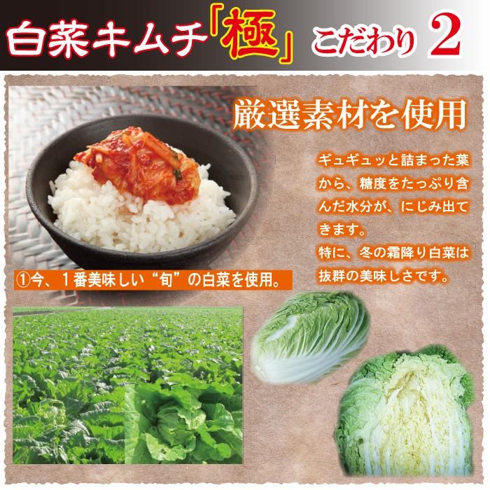 株漬 白菜キムチ 食べ比べ 松前キムチ2袋 極1袋 お取り寄せ グルメ 食品 食べ物 漬物 お礼 ギフト 贈答品 誕生日 プレゼント 韓国産唐辛子｜nishino-ya｜18