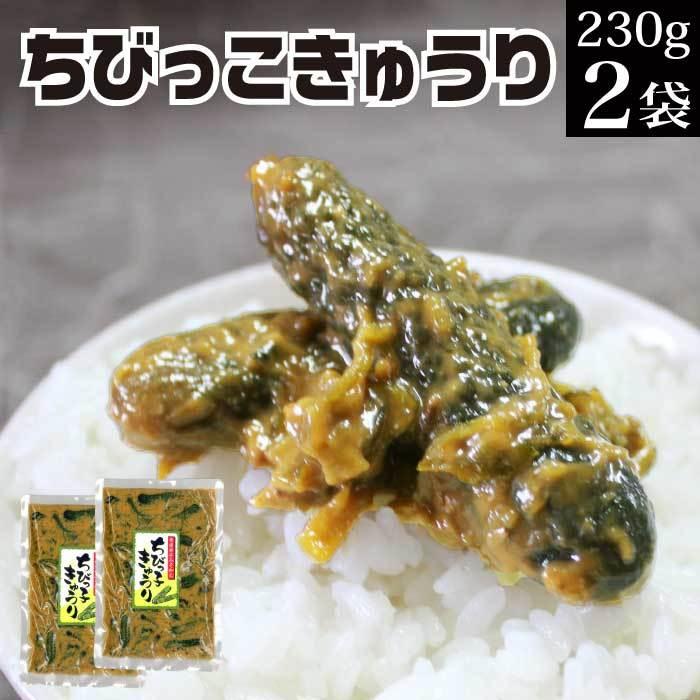 漬物 贈り物 ちびっこきゅうり230g×2袋 送料無料 ご飯のお供 惣菜 おかず 常温 おつまみ 食品 お取り寄せ 父の日 プレゼント ギフト 食べ物 お中元 実用的｜nishino-ya