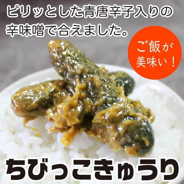漬物 贈り物 ちびっこきゅうり230g×2袋 送料無料 ポイント利用 ポイント消化 胡瓜 お漬物 ご飯のお供 惣菜 おかず 常温 おつまみ 食品 お取り寄せ | 西野屋食品 | 07