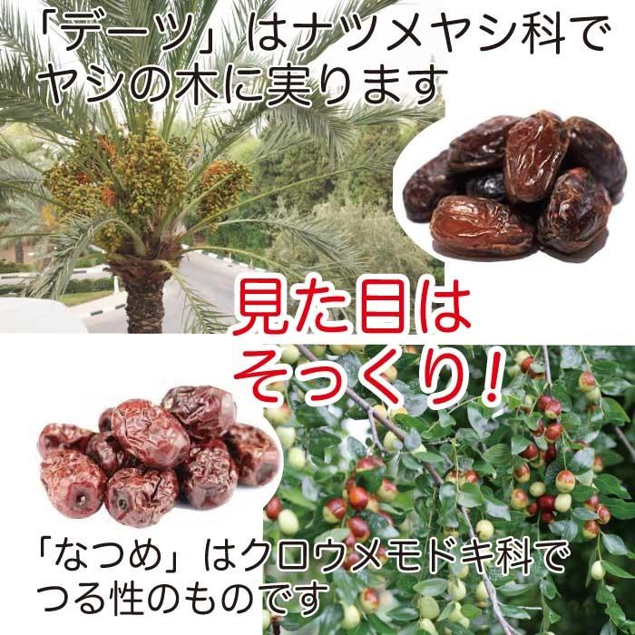 デーツ 135g×2袋 種なし 無添加 ドライフルーツ 砂糖不使用 ナツメ お取り寄せ グルメ 果実 お菓子 不揃い 訳あり スイーツ 送料無料｜nishino-ya｜04