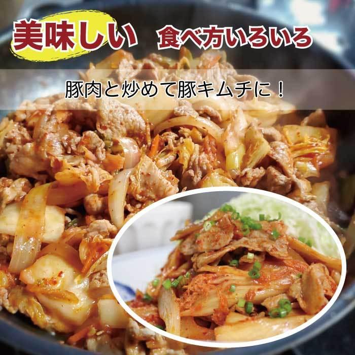 父の日 プレゼント ギフト 2024 お中元 実用的 60代 70代 80代 白菜キムチ 万能キムチ1kg（500g×2袋 漬物 大容量 酸味強い 韓国産唐辛子 国産 食べ物 発酵食品｜nishino-ya｜10