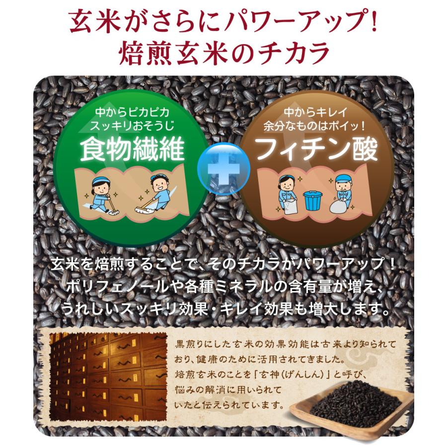 玄米珈琲（玄米コーヒー）パウダータイプ 100g 九州産 無農薬 有機JAS