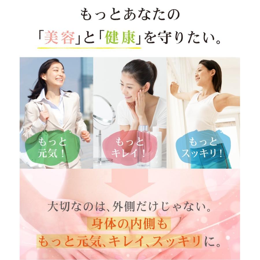 玄米珈琲（玄米コーヒー）プレミアムスティックタイプ 2g×13本入 (鹿児島県産 無農薬 有機JAS認定玄米100%) |  | 01