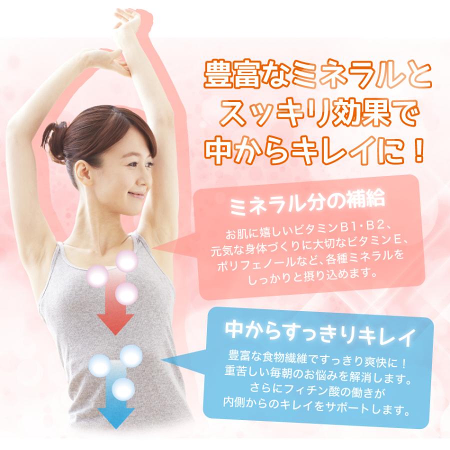 玄米珈琲（玄米コーヒー）プレミアムスティックタイプ 2g×13本入 (鹿児島県産 無農薬 有機JAS認定玄米100%) |  | 11