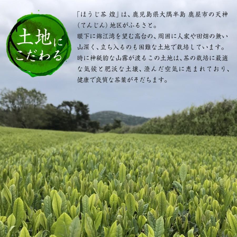 プレミアムほうじ茶 煌（きらめき）ティーバッグ8包入（農薬不使用 有機肥料栽培 さえみどり 大井早生ブレンド 新茶 一番茶）｜nishio-cha｜03