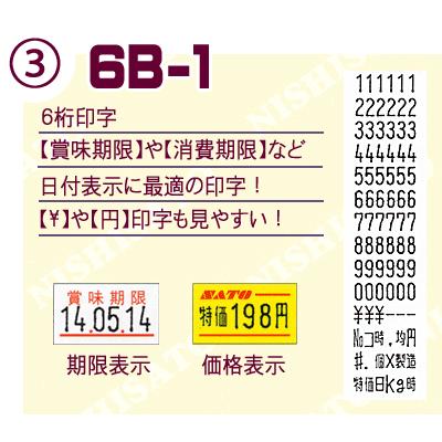 SATO PB-1 ハンドラベラー 本体 ラベル 10巻 お得な セット サトー ラベラー 5B-1 5B-2 6B-1 7B-1 あすつく 最短出荷 値付け_8